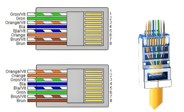 什么是 8 针模块化连接器